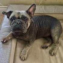 Thumbnail photo of Hank #2