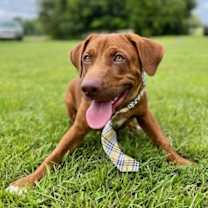 Thumbnail photo of Zane #2