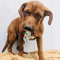 Thumbnail photo of Zane #3