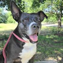 Thumbnail photo of Layla #1