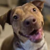 Thumbnail photo of PAWMELA ANDERSON #1