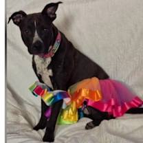 Thumbnail photo of WONDER #2