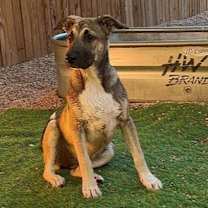 Thumbnail photo of Spicy from the East Side #1