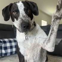 Thumbnail photo of Shadow #4