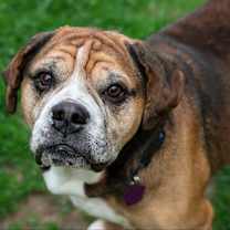 Thumbnail photo of Tank #2