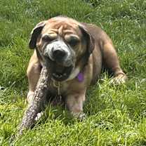 Thumbnail photo of Tank #3