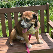 Thumbnail photo of Tank #4