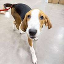 Thumbnail photo of Johnny #2