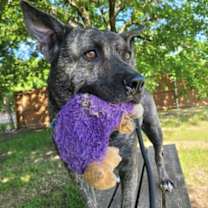 Thumbnail photo of Prince #3