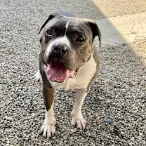 Thumbnail photo of SALLY JO BROWN (SENIOR) #1