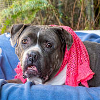 Thumbnail photo of SALLY JO BROWN (SENIOR) #2