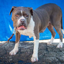 Thumbnail photo of SALLY JO BROWN (SENIOR) #3