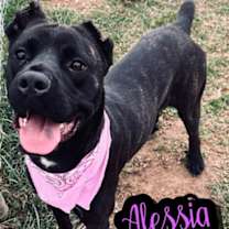 Thumbnail photo of Alessia #3