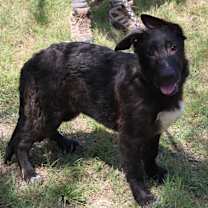 Thumbnail photo of Jack #1