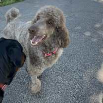 Thumbnail photo of Holly #2