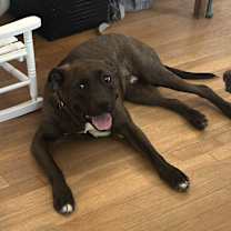 Thumbnail photo of Carl #3