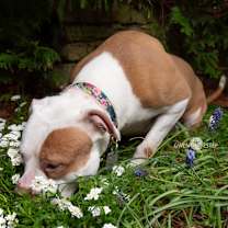 Thumbnail photo of Carlyne #4