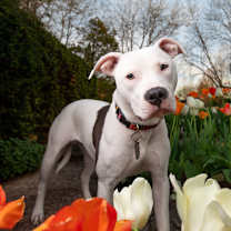 Thumbnail photo of Jacee #2