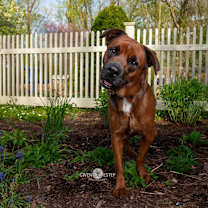 Thumbnail photo of Montgomery #2