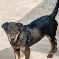 Thumbnail photo of Milk Choco #2