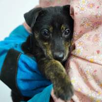 Thumbnail photo of Milk Choco #3