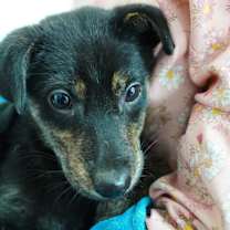 Thumbnail photo of Milk Choco #4