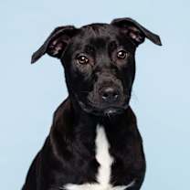 Thumbnail photo of Larry #1