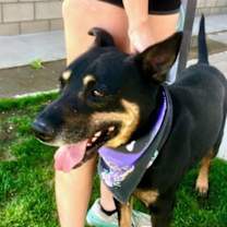 Thumbnail photo of GEORGE #3