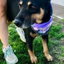 Thumbnail photo of GEORGE #4