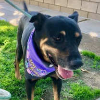 Thumbnail photo of GEORGE #1