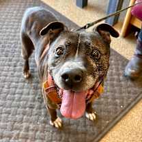 Thumbnail photo of Charlie #1