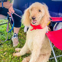 Thumbnail photo of Olivia #1