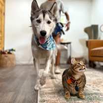 Thumbnail photo of Everest Breeze #3