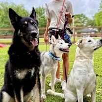 Thumbnail photo of Everest Breeze #4