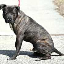 Thumbnail photo of BILLY #2