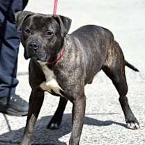 Thumbnail photo of BILLY #3