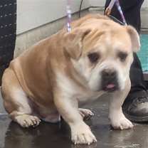 Thumbnail photo of MEATHEAD #2