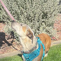 Thumbnail photo of Sabrina #2