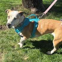 Thumbnail photo of Sabrina #3