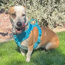 Thumbnail photo of Sabrina #4