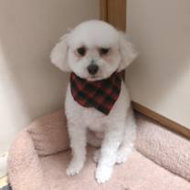 Thumbnail photo of Matisse #2