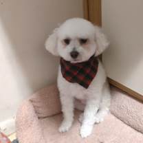 Thumbnail photo of Matisse #3