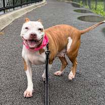 Thumbnail photo of Tilly #1