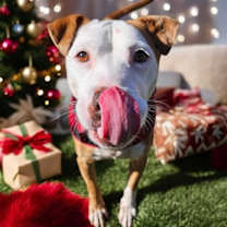 Thumbnail photo of Zina #2