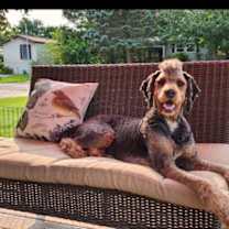 Thumbnail photo of Virgil Cain #1