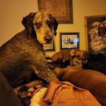 Thumbnail photo of Virgil Cain #2