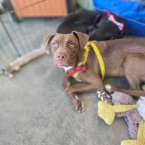 Thumbnail photo of Jack #3