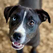 Thumbnail photo of Harper Lea #2