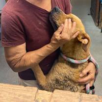 Thumbnail photo of HOWIE #3