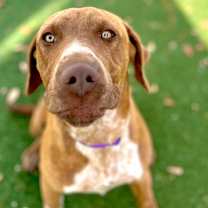 Thumbnail photo of Lionel Richie #2